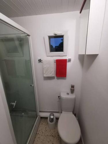 La petite salle de bains est pourvue d'une douche et de toilettes. dans l'établissement Appartement fonctionnel et équipé en RDC avec petite terrasse couverte au calme, à Franqueville-Saint-Pierre