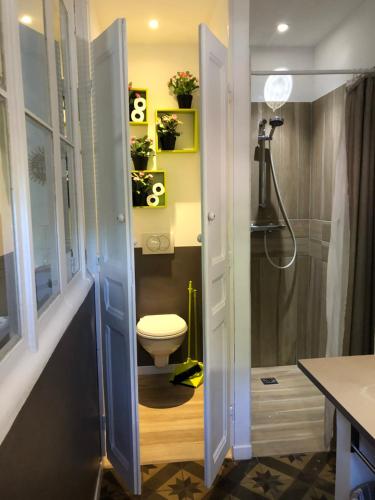 a small bathroom with a toilet and a shower at LE BOURGUET in Solliès-Pont
