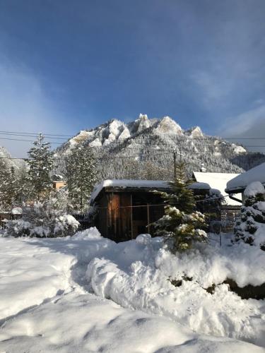 una cabaña cubierta de nieve frente a una montaña en Apartament i pokoje u Piotra, en Sromowce Niżne