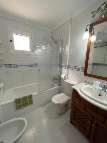 a bathroom with a sink and a toilet and a shower at VILLEGAS in Sanlúcar de Barrameda