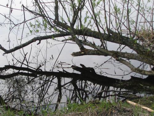 Φυσικό τοπίο κοντά σε αυτή η παραθεριστική κατοικία