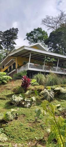 Cuki House