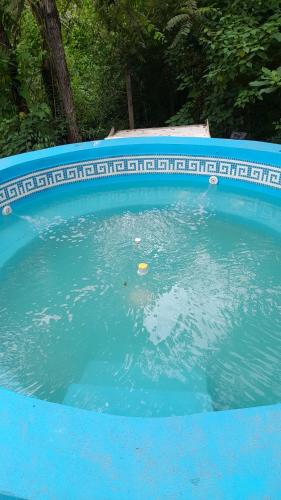 ein mit blauem Wasser gefüllter Pool in der Unterkunft Selva Nuez in San Antonio