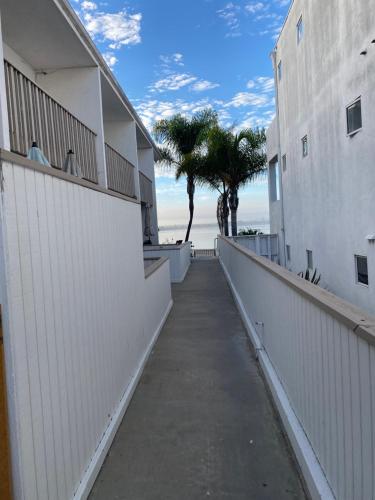 una passerella tra due edifici con una palma di Bay Beach Bungalow a San Diego