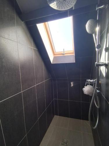 a blue bathroom with a shower with a window at Duplex Tressange in Tressange
