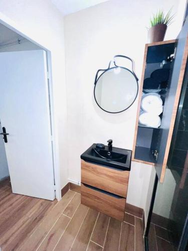 une salle de bain avec un lavabo et un miroir dans l'établissement Joli studio une pièce entièrement rénové et équipé classé 2 étoiles, à Balaruc-les-Bains