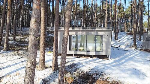 a modern house in the woods in the snow at GaujaClub - our BOSE and Bang&Olufsen lofts on a lake in Gauja