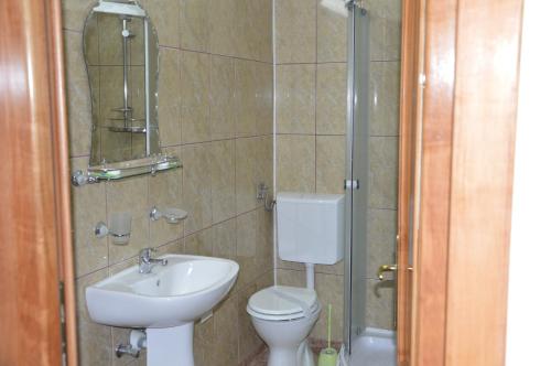 a bathroom with a toilet and a sink at Motel Buti in Sighetu Marmaţiei