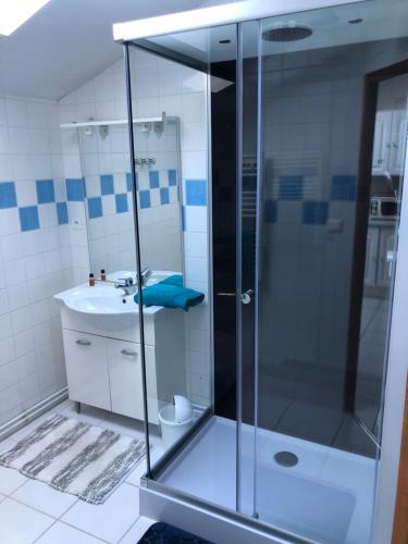 y baño con ducha de cristal y lavabo. en Gite Sologne, en Marcilly-en-Gault