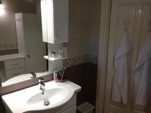a bathroom with a sink and a mirror and a shower at Vida-lak in Berekfürdő