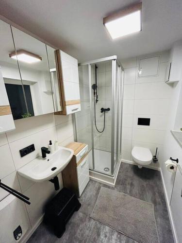 ein Bad mit einer Dusche, einem Waschbecken und einem WC in der Unterkunft Bezauberndes Apartment im Herzen von Nieukerk. in Kerken