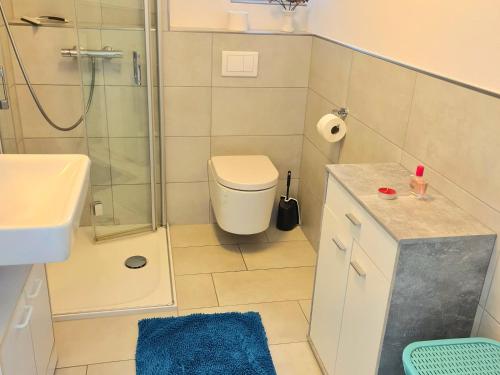 W łazience znajduje się prysznic, toaleta i umywalka. w obiekcie Apartment am Landeckberg w mieście Klingenmünster