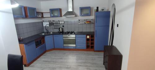 Kuchyň nebo kuchyňský kout v ubytování Apartament Blisko
