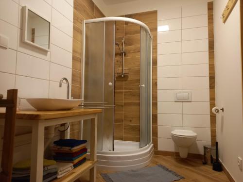 y baño con ducha, lavabo y aseo. en Chalupa U Kravína, en Rtyně v Podkrkonoší