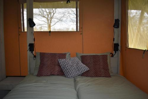 een bed met 2 kussens in een kamer met een raam bij Klein Koestapel in Putten