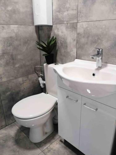 a bathroom with a white toilet and a sink at beautiful located dome in Wapnica