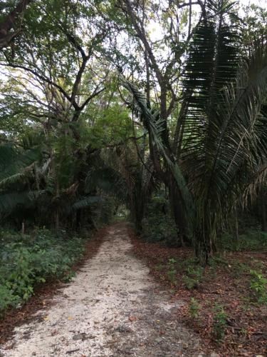 Casa Venado – Photos 3
