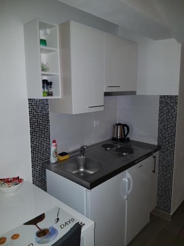 a kitchen with a sink and a counter top at Gabi Rooms & Studio Apartment in Lozovac