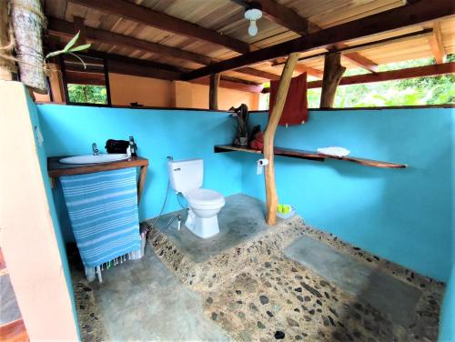 a bathroom with a toilet and a blue wall at Terra NaturaMa - off grid living in the jungle in Punta Uva