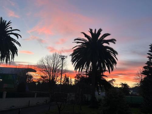 a sunset with a palm tree in the foreground at Lekuona in Galdakao