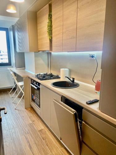 una cucina con lavello e piano di lavoro di Lazar Loft a Iaşi