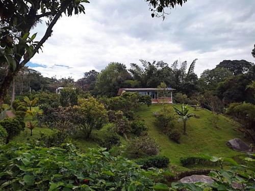 Zahrada ubytování Eco Hotel La Primavera - Cabañas Campestres de Descanso