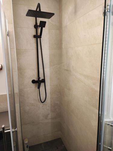 a shower with a shower head in a bathroom at van Art Stucky in Bayreuth