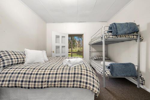 1 dormitorio con 2 literas y escalera en Fentons Run High Range en Joadja Creek
