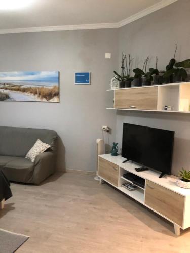 STUDIO'S HOUSE