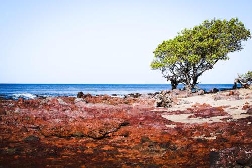 a view of the ocean from a rocky beach at Tapas & Surf in Petacaltepe