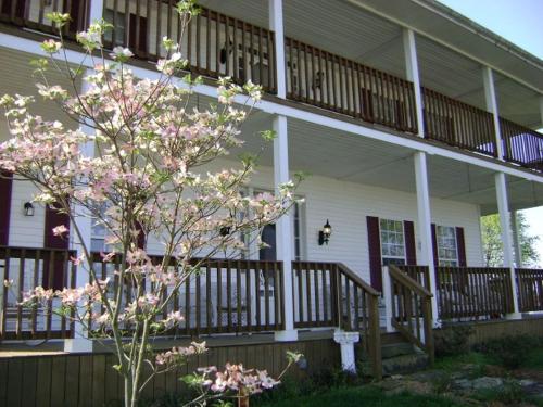 a flowering tree in front of a house at Rocky Hill Inn in Smiths Grove