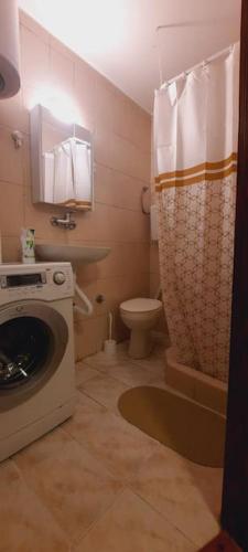a bathroom with a washing machine and a toilet at Old Cherry Apartment in Vračar (historical)