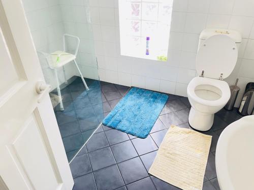 ein Badezimmer mit einem WC und einem blauen Teppich in der Unterkunft Classic Meets Modern in Central Wagga in Wagga Wagga