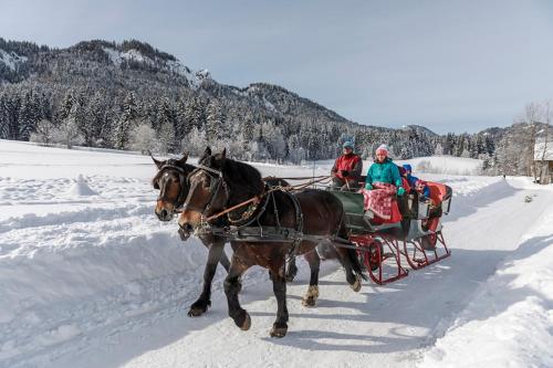 Nature Fun Apartments - Nassfeld - Pressegger See en invierno