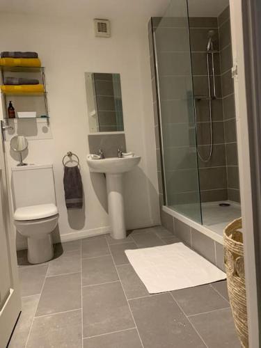 a bathroom with a toilet and a sink and a shower at Gorgeous seaside getaway. in Hastings