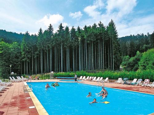 Fotografia z galérie ubytovania Res Les Fontaines des Vosges, Saales, 3 room apt v destinácii Saales