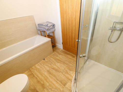 a bathroom with a toilet and a shower at Coquet in Longframlington