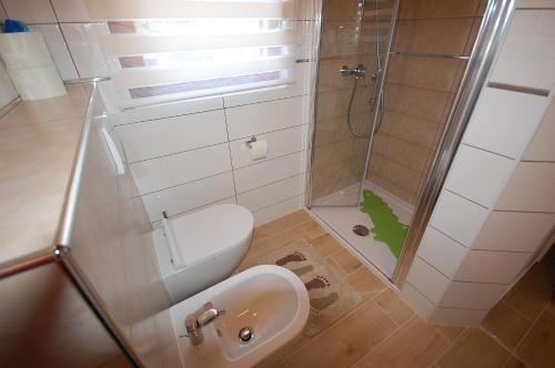 ein Badezimmer mit Dusche, Toilette und Waschbecken in der Unterkunft Apartments with parking space Vantacici, Krk - 20507 in Malinska