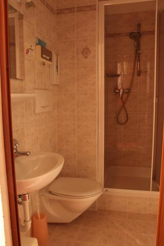 a bathroom with a toilet and a sink and a shower at Hotel Villa Emilia in Ortisei