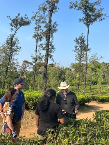 Tetamu yang menginap di Wind Valley