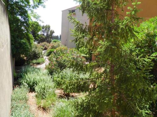 Studio Sète, 1 pièce, 4 personnes - FR-1-338-93