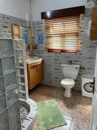 a bathroom with a toilet and a sink at Orchid Sunset Guest House in Baie Lazare Mahé