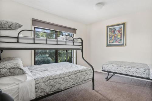 sypialnia z 2 łóżkami piętrowymi i oknem w obiekcie Amaroo w mieście Marengo