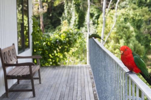  At Riverside -  Room  picture :    Shower    Bath    TV                            