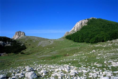 a green hill with rocks and trees on a mountain at Apartments and Rooms Degenija in Starigrad-Paklenica