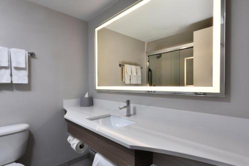 里士滿的住宿－里士滿肖特龐普區I-64智選假日酒店，一间带水槽和镜子的浴室