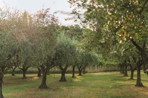 Jardín al aire libre en Privilegium Lazise