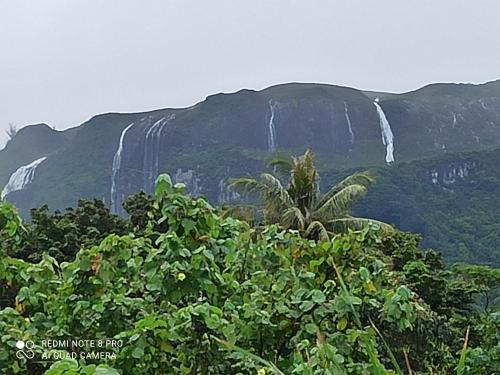 a waterfall on the side of a mountain at La Maison Du Voyage in Tevaitoa