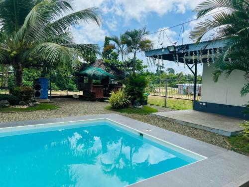 una piscina frente a una casa con palmeras en Ashelma resort, en Dauis