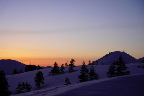 a sunset over a snow covered mountain with trees at björk （森の宿 ビヨルク） in Myoko